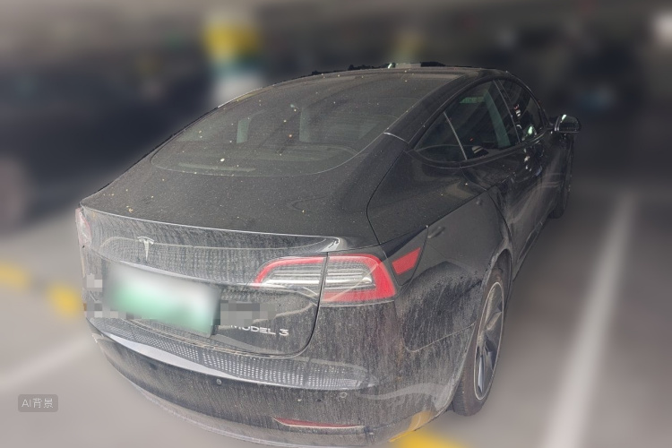 Tesla Model 3 2021 car image #6