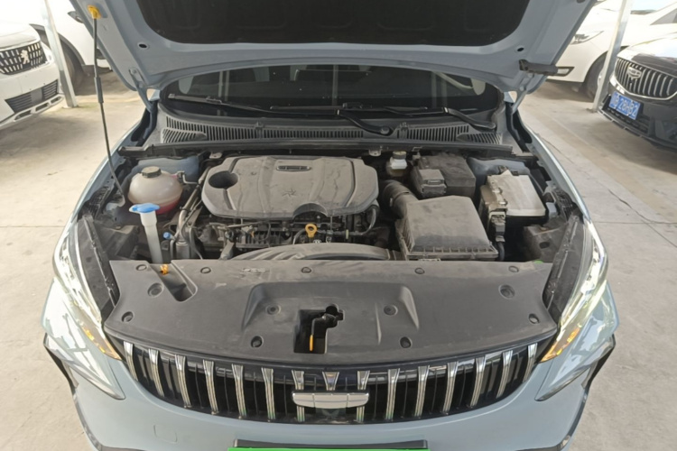 GEELY Binray 2024 immagine di auto #20