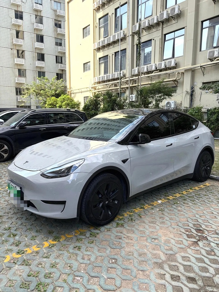 Tesla Model Y 2023 Tesla Model Y 2023 car image