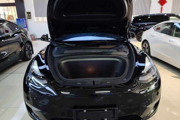 Tesla Model Y 2021 car image #20