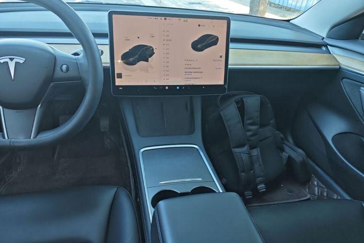 Tesla Model 3 2022 car image #17