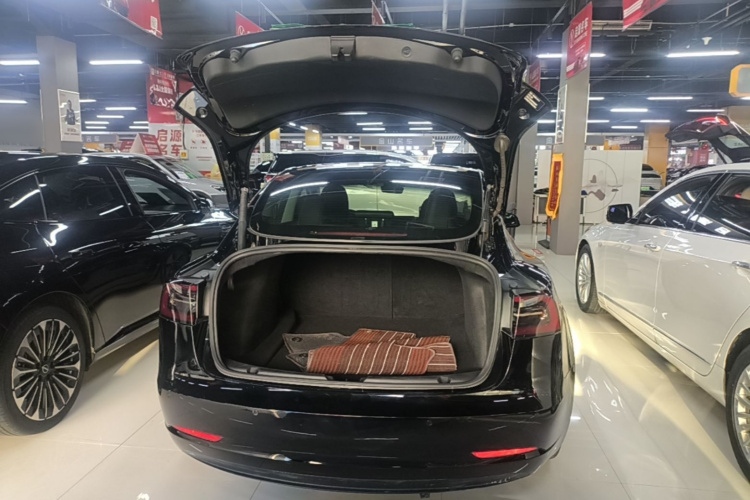 Tesla Model 3 2021 immagine di auto #21