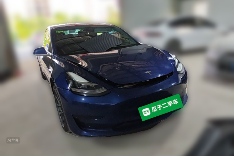 Tesla Model 3 2020 car image #4