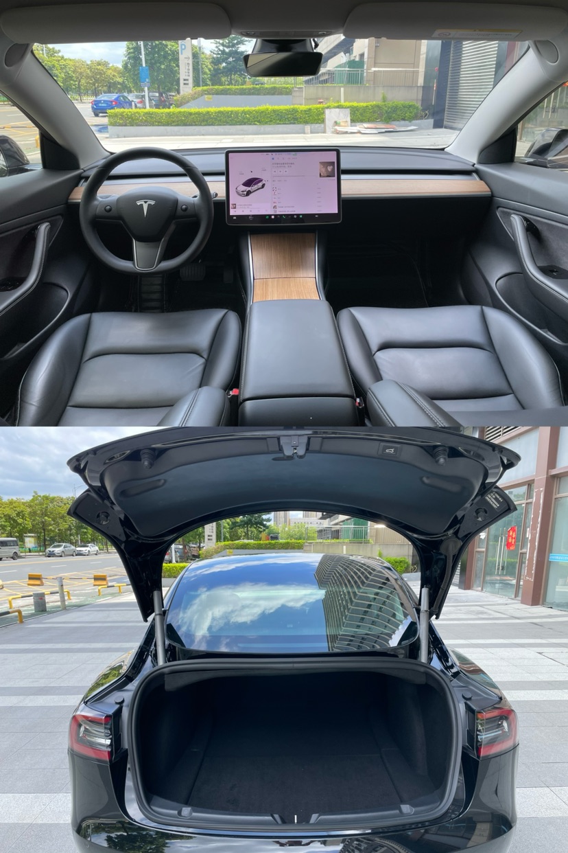 Tesla Model 3 2020 #9 Tesla Model 3 2020 car image #9