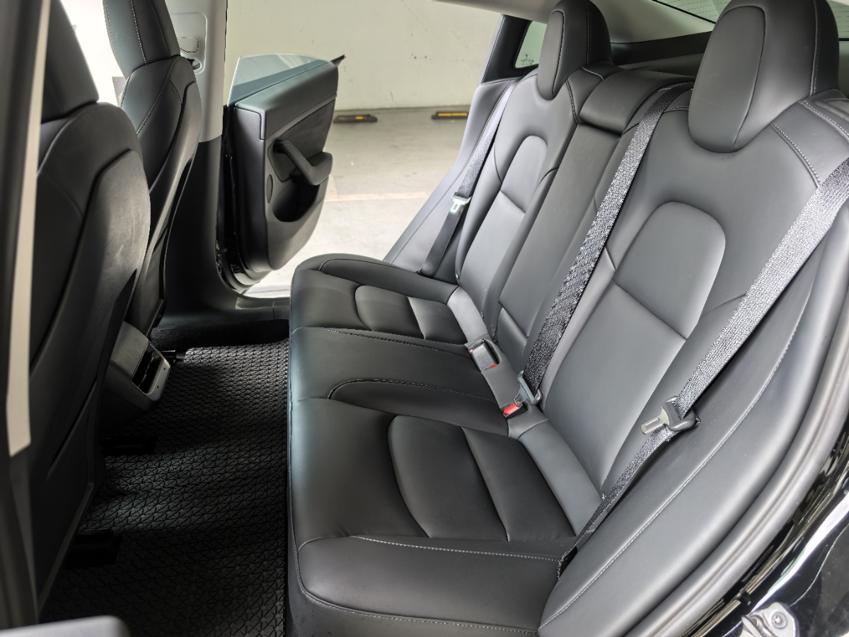 Tesla Model 3 2021 #7 Tesla Model 3 2021 car image #7
