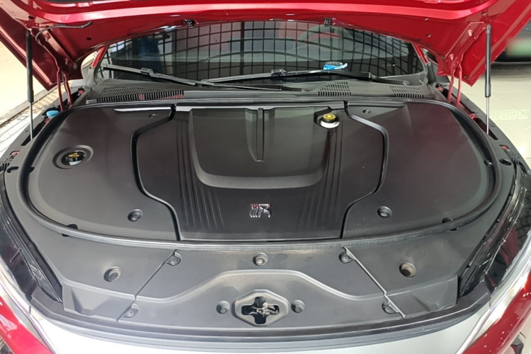 BYD Han 2020 car image #20