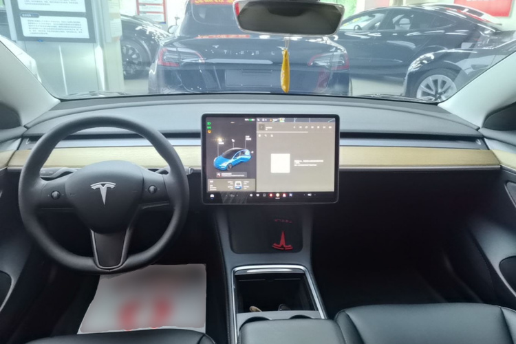 Tesla Model 3 2021 #10 Tesla Model 3 2021 car image #10