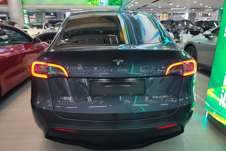 Tesla Model Y 2023 car image #6