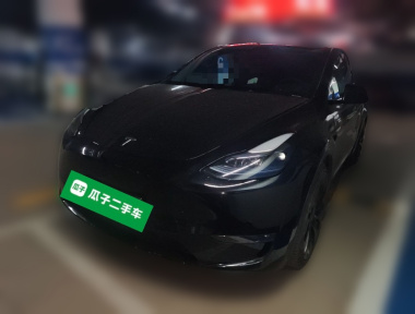 Tesla Model Y 2023 Tesla Model Y 2023 car image