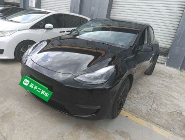 Tesla Model Y 2023 car image 