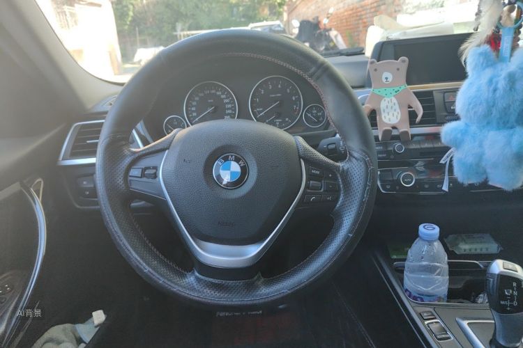 BMW 3 Series 2017 car image #12