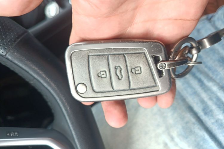 Volkswagen Lavida 2024 imagen de coche #10