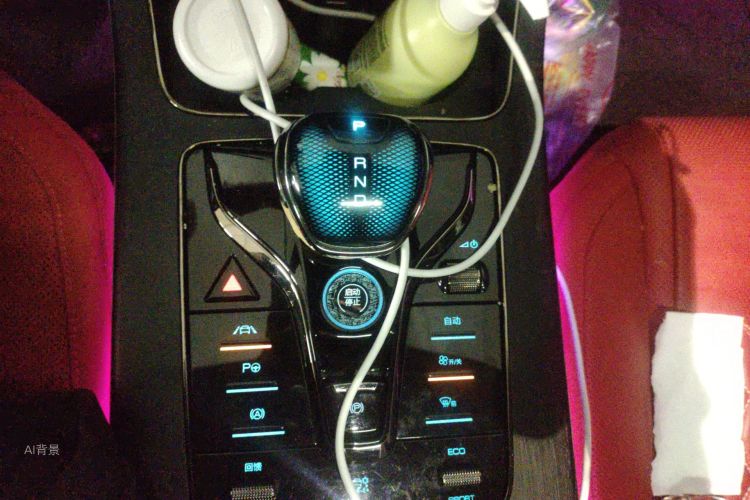 BYD Han 2021 imagen de coche #16