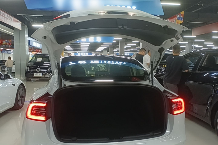 Tesla Model 3 2021 #19 Tesla Model 3 2021 car image #19