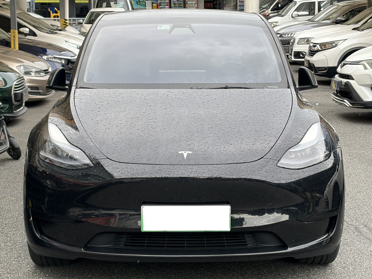 Tesla Model Y 2023 car image #2