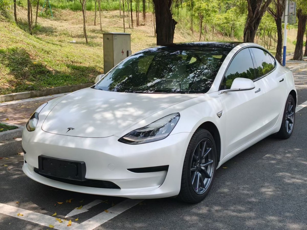 Tesla Model 3 2020 car image 