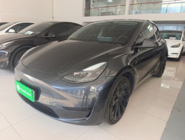 Tesla Model Y 2024 Tesla Model Y 2024 car image