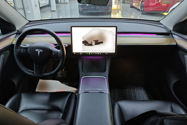 Tesla Model Y 2023 car image #10