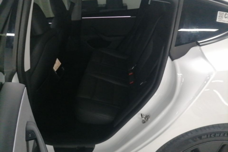 Tesla Model 3 2024 car image #17