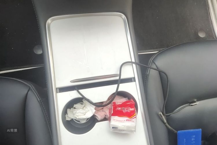 Tesla Model 3 2021 car image #16