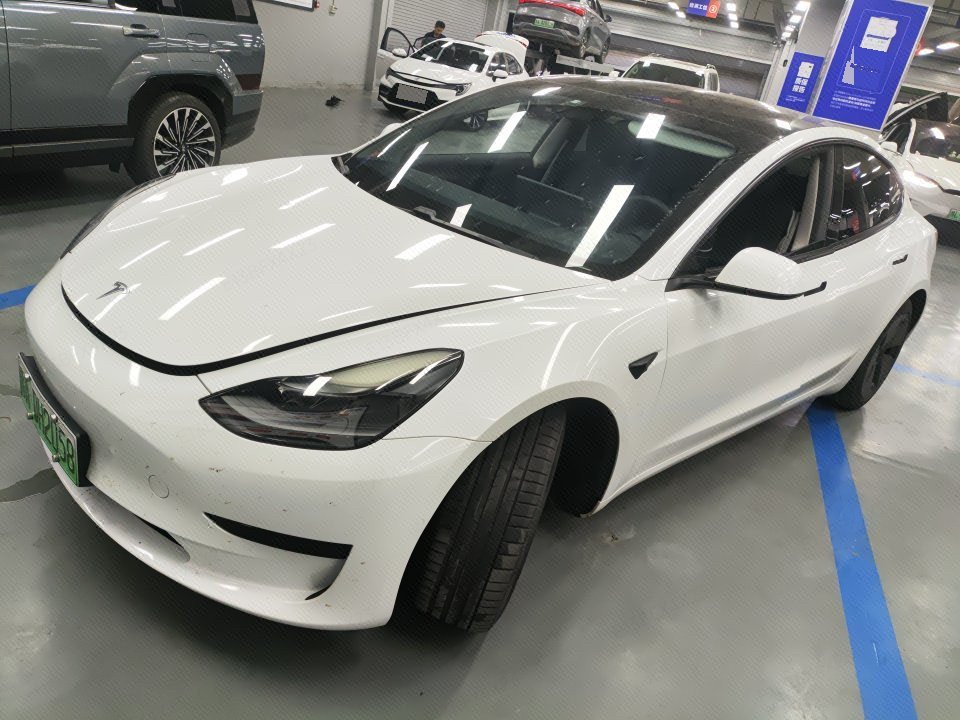 Tesla Model 3 2021 Tesla Model 3 2021 car image