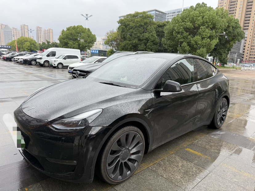 Tesla Model Y 2023 Tesla Model Y 2023 car image