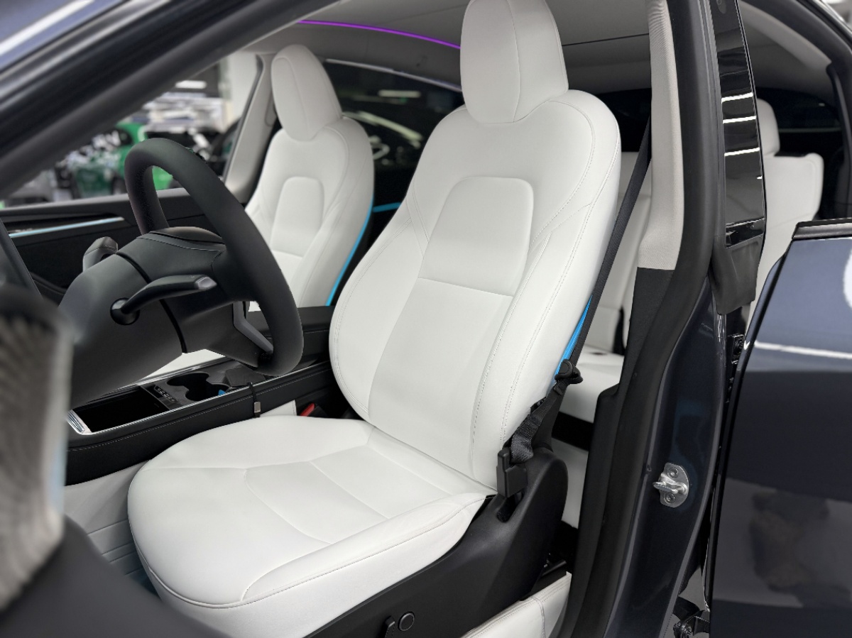 Tesla Model Y 2023 #10 Tesla Model Y 2023 car image #10