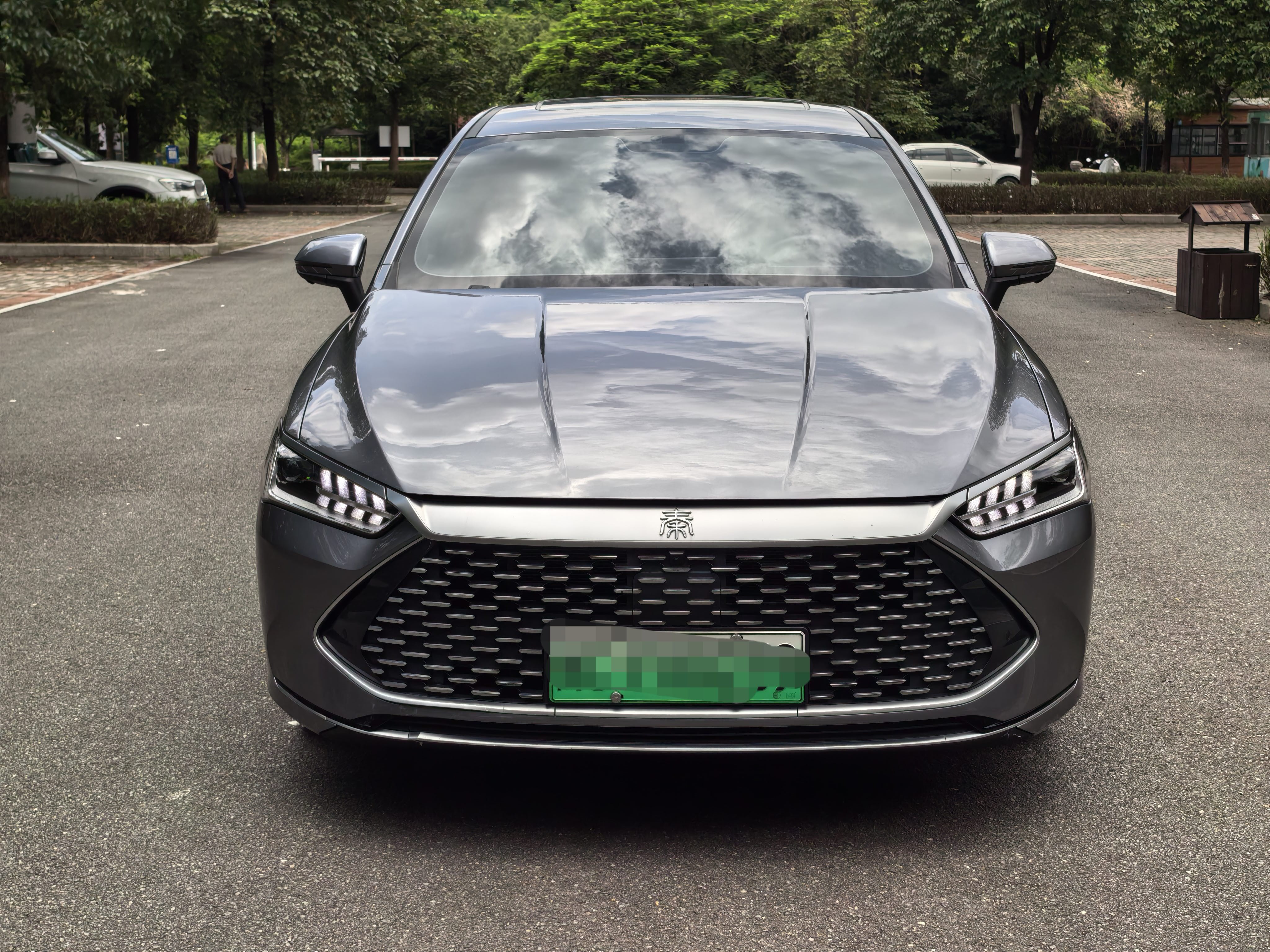 BYD Qin Plus 2024 imagen de coche #6
