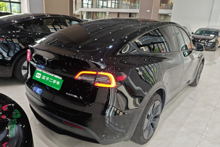 Tesla Model Y 2023 car image #5