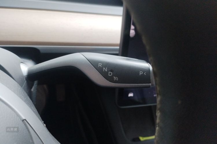 Tesla Model 3 2021 car image #16