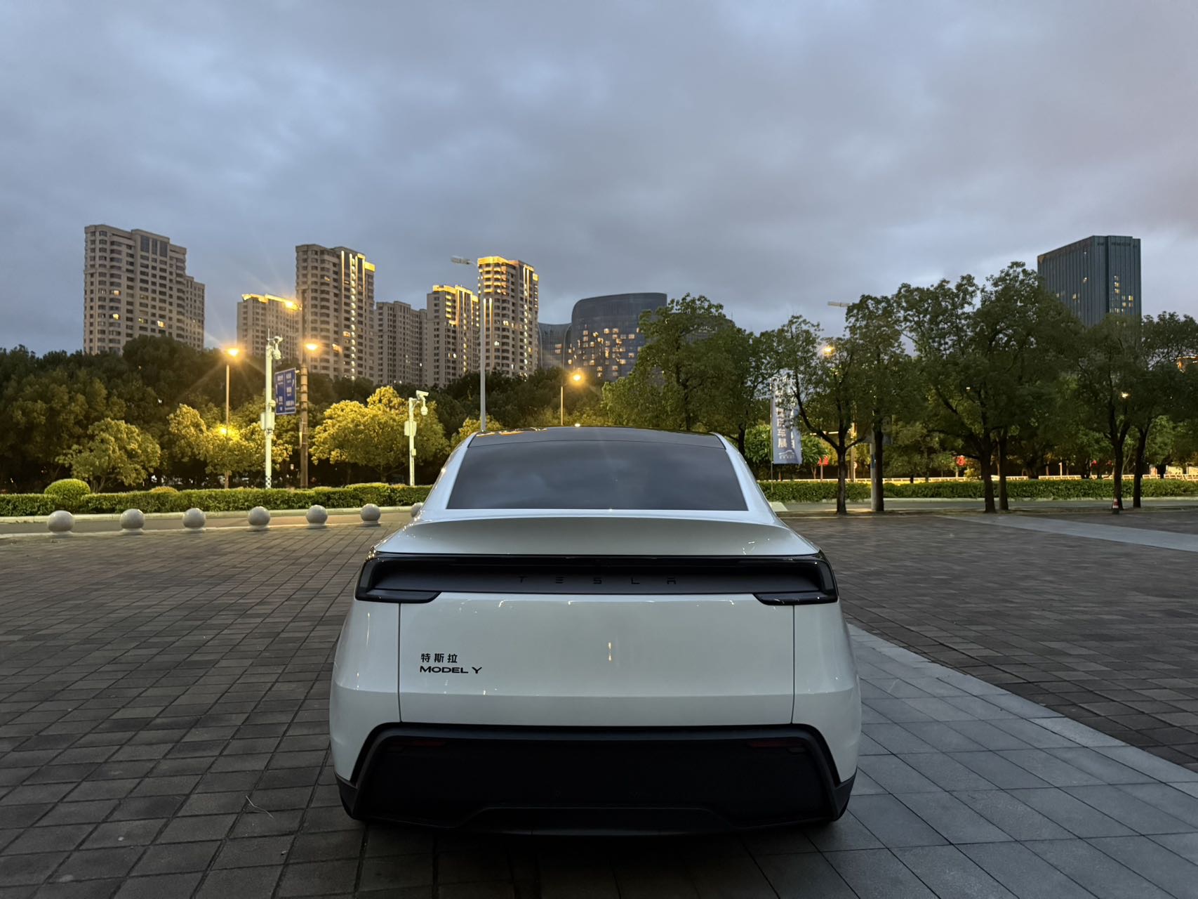 Tesla Model Y 2026 car image #10