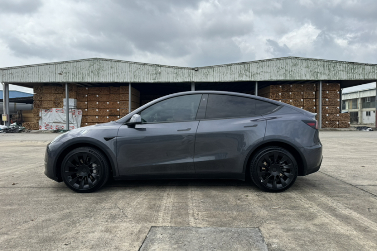 Tesla Model Y 2021 #4 Tesla Model Y 2021 car image #4