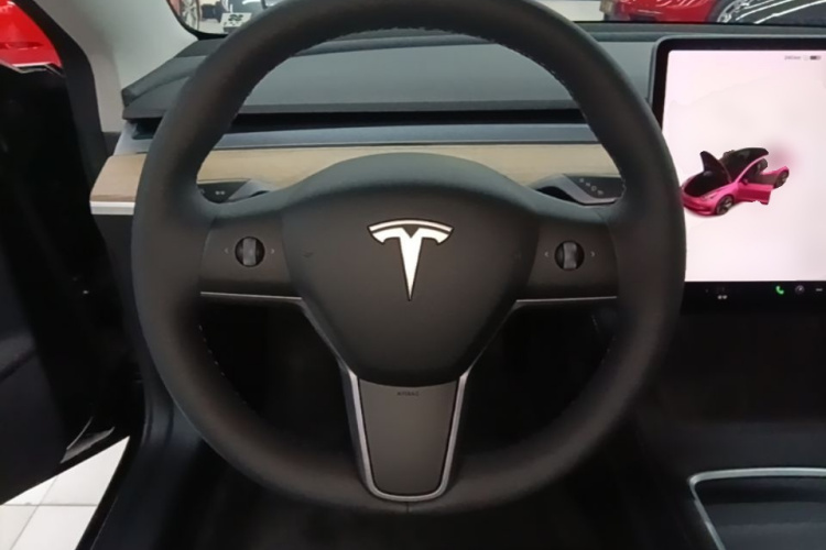Tesla Model 3 2021 #11 Tesla Model 3 2021 car image #11