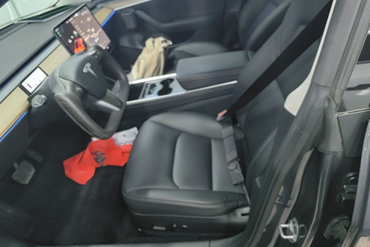 Tesla Model 3 2021 #15 Tesla Model 3 2021 immagine di auto #15