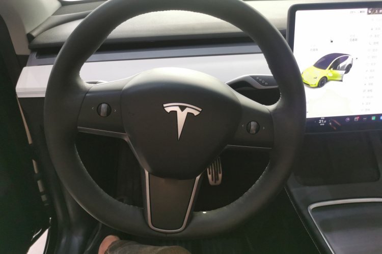 Tesla Model Y 2021 car image #11