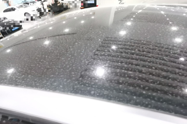 Tesla Model Y 2022 car image #25