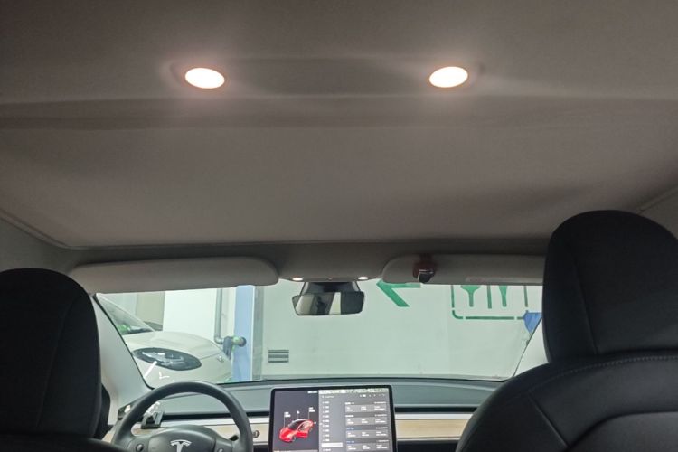 Tesla Model 3 2021 #18 Tesla Model 3 2021 car image #18