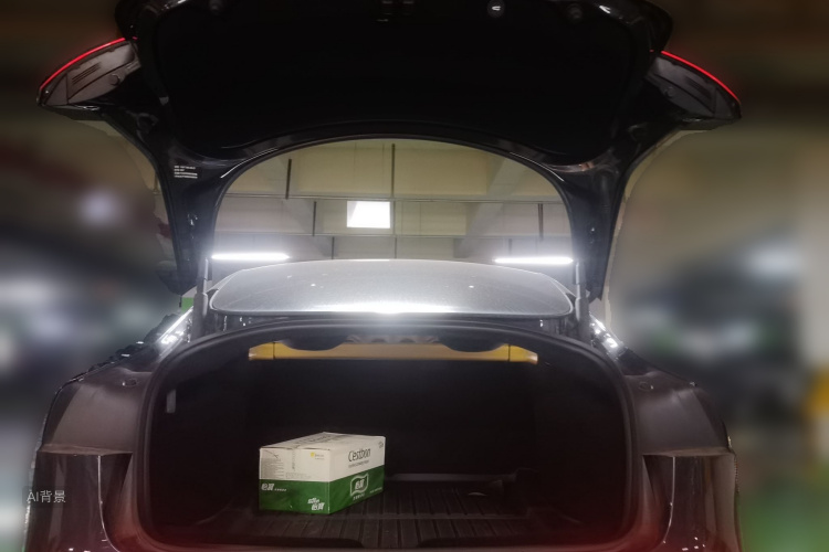 Tesla Model 3 2025 imagem de carro #21
