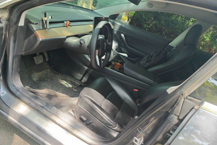 Tesla Model 3 2020 car image #15