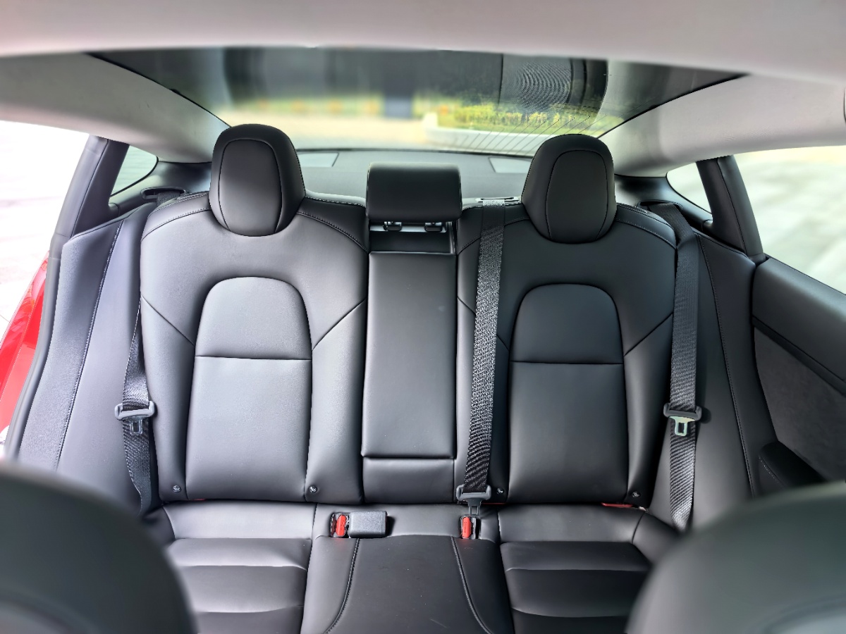 Tesla Model 3 2020 #13 Tesla Model 3 2020 car image #13