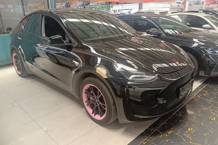 Tesla Model Y 2023 immagine di auto #4