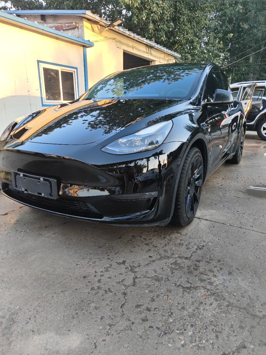Tesla Model Y 2021 car image 