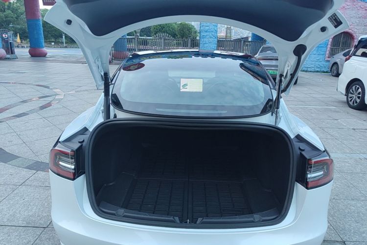 Tesla Model 3 2021 car image #19