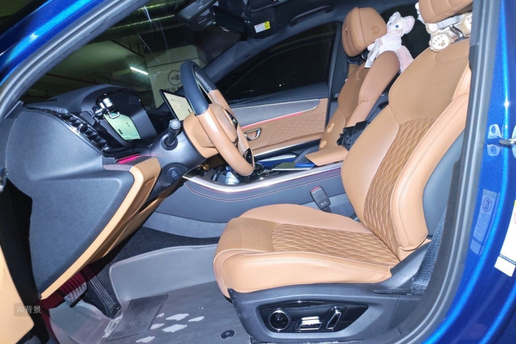 BYD Han 2021 imagem de carro #17