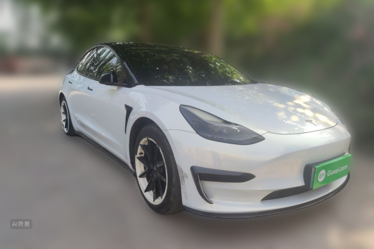 Tesla Model 3 2021 car image #4