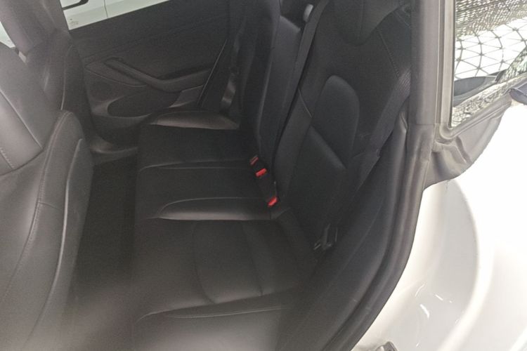 Tesla Model 3 2021 #17 Tesla Model 3 2021 immagine di auto #17
