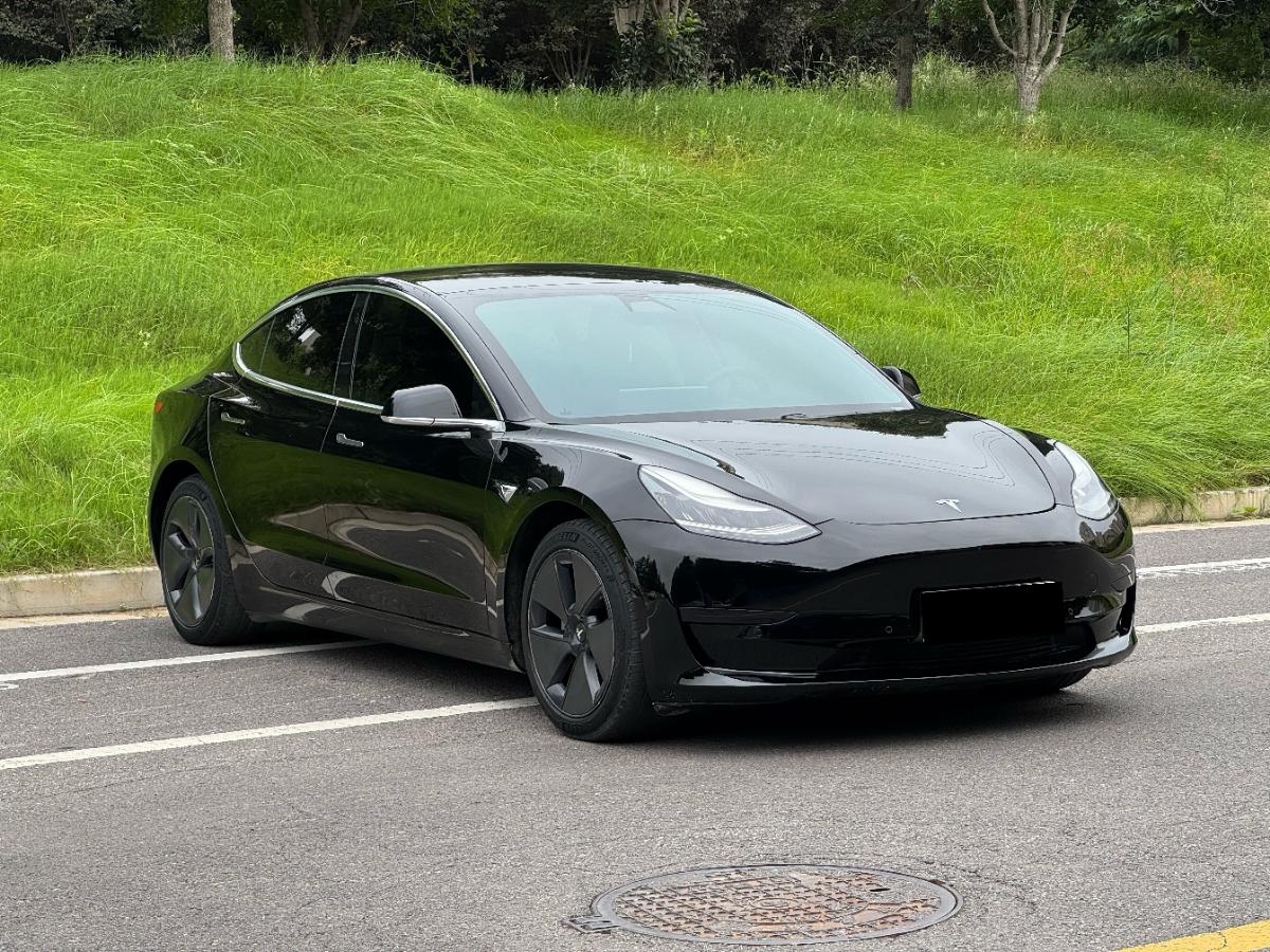 Tesla Model 3 2021 #3 Tesla Model 3 2021 car image #3