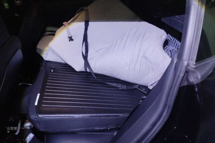 Tesla Model 3 2022 imagem de carro #19