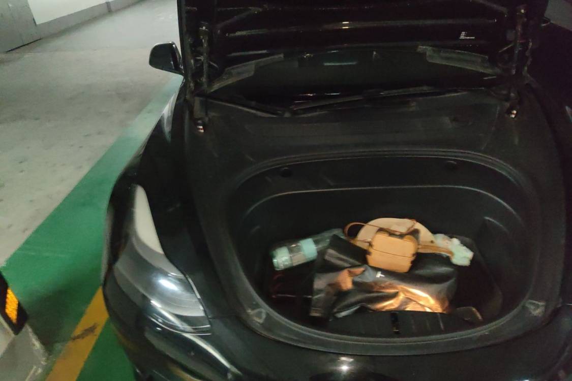Tesla Model 3 2021 #11 Tesla Model 3 2021 car image #11