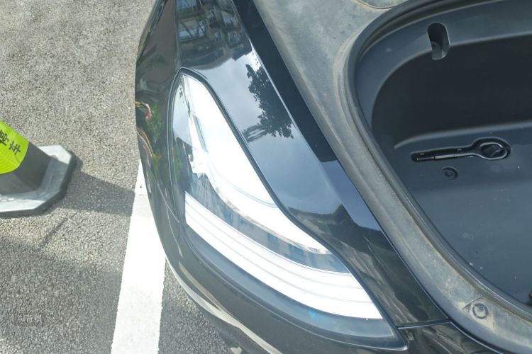 Tesla Model 3 2020 car image #8